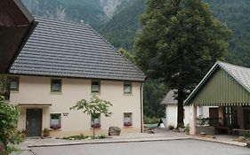 Gorska Roza